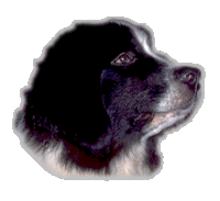 Ajax_3_kl.gif (14242 bytes)