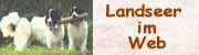 Banner1.jpg (2853 bytes)
