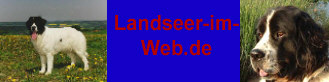 Landseerbanner1.jpg (12370 bytes)
